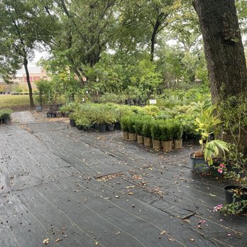 Mansfield Gardens - Gardeners Near Me - Mansfield, Texas Mansfield Gardens - Gardeners Near Me - Mansfield, Texas