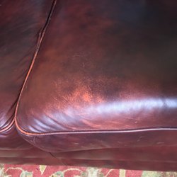 The Leather Sofa