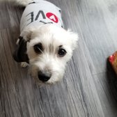 petsmart stool softener