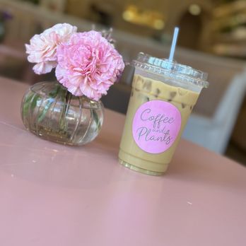 Coffee and Plants - Coffee & Tea Near Me - Studio City, California