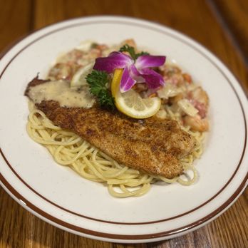 Open Range - a plate of pasta with chicken and sauce - American Near Me - Damon, Texas Open Range - a plate of pasta with chicken and sauce - American Near Me - Damon, Texas
