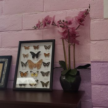 Spring Nails - Some art from Cambodia those are butterfly collection - Nail Salons Near Me - Fremont, California Spring Nails - Some art from Cambodia those are butterfly collection - Nail Salons Near Me - Fremont, California