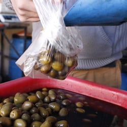 Aceitunas Til Til