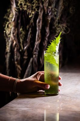 MILA Omakase by null