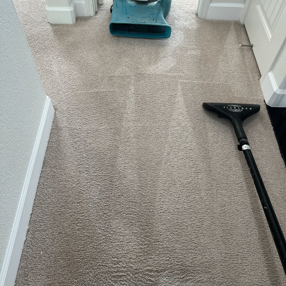 TOP 10 BEST Carpet Cleaners in Hayward, CA - Updated 2026 - Yelp
