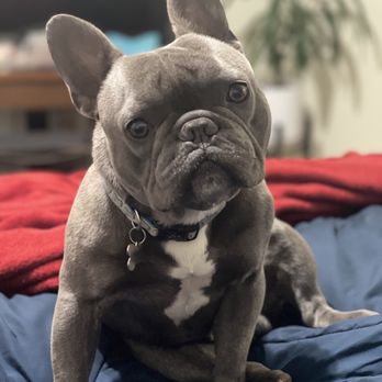 THE BEST 10 PET STORES near GRASS VALLEY, CA 95945 - Updated