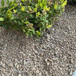 Visualized Landscape. Las Vegas. 3/4 inch brown rock.