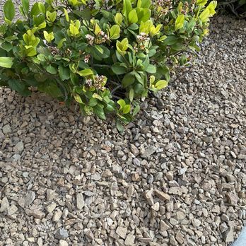 Visualized Landscape - Visualized Landscape. Las Vegas. 3/4 inch brown rock. - Landscaping Near Me - North Las Vegas, Nevada