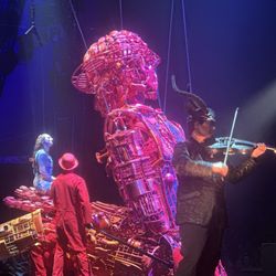 Cirque Du Soleil