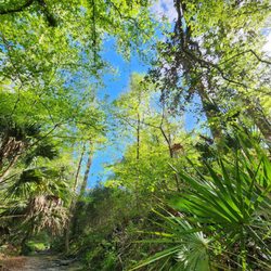 Mudslinger Tours - Creek view
