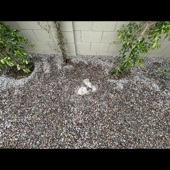 True Vision Landscapes - Leak - Landscaping Near Me - Queen Creek, Arizona True Vision Landscapes - Leak - Landscaping Near Me - Queen Creek, Arizona