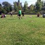 Photo of Aaron Harris Fitness Training
