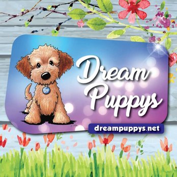 Dream Puppys - Pet Stores Near Me - Dothan, Alabama Dream Puppys - Pet Stores Near Me - Dothan, Alabama