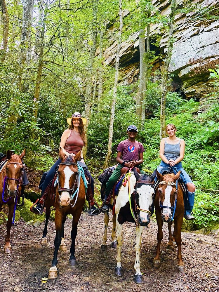 Horseshoe Creek Riding Stable - equestrian in Hico, WV
