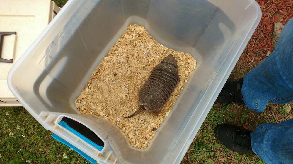 PEANUT BUTTER & JELLY CHILDCARE 30 Photos 5501 E 71st St