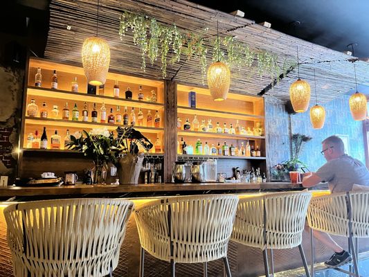 Elephant Ear by null