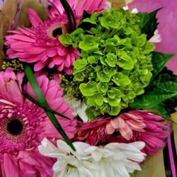 Lidl - Beautiful flowers