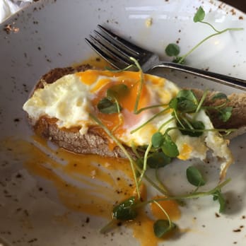 Olaf's Artisan Bakery and Cafe - Quality and quantity both of low quality - Cafes Near Me - Auckland, AUK