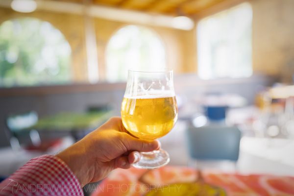Vine Street Brewing Co. by null