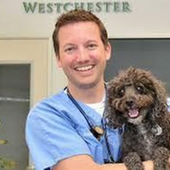 Animal Health Services - untitled - Veterinarians Near Me - Kelso, Washington Animal Health Services - untitled - Veterinarians Near Me - Kelso, Washington