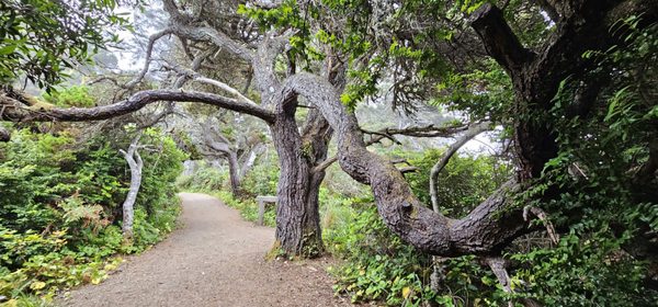 Sue-meg State Park by null