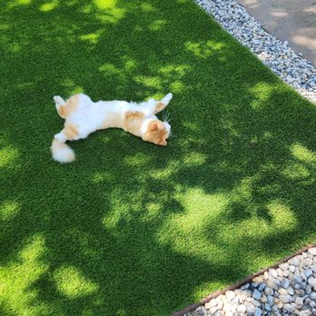 Southern Turf - Artificial Turf Near Me - Dallas, Texas Southern Turf - Artificial Turf Near Me - Dallas, Texas