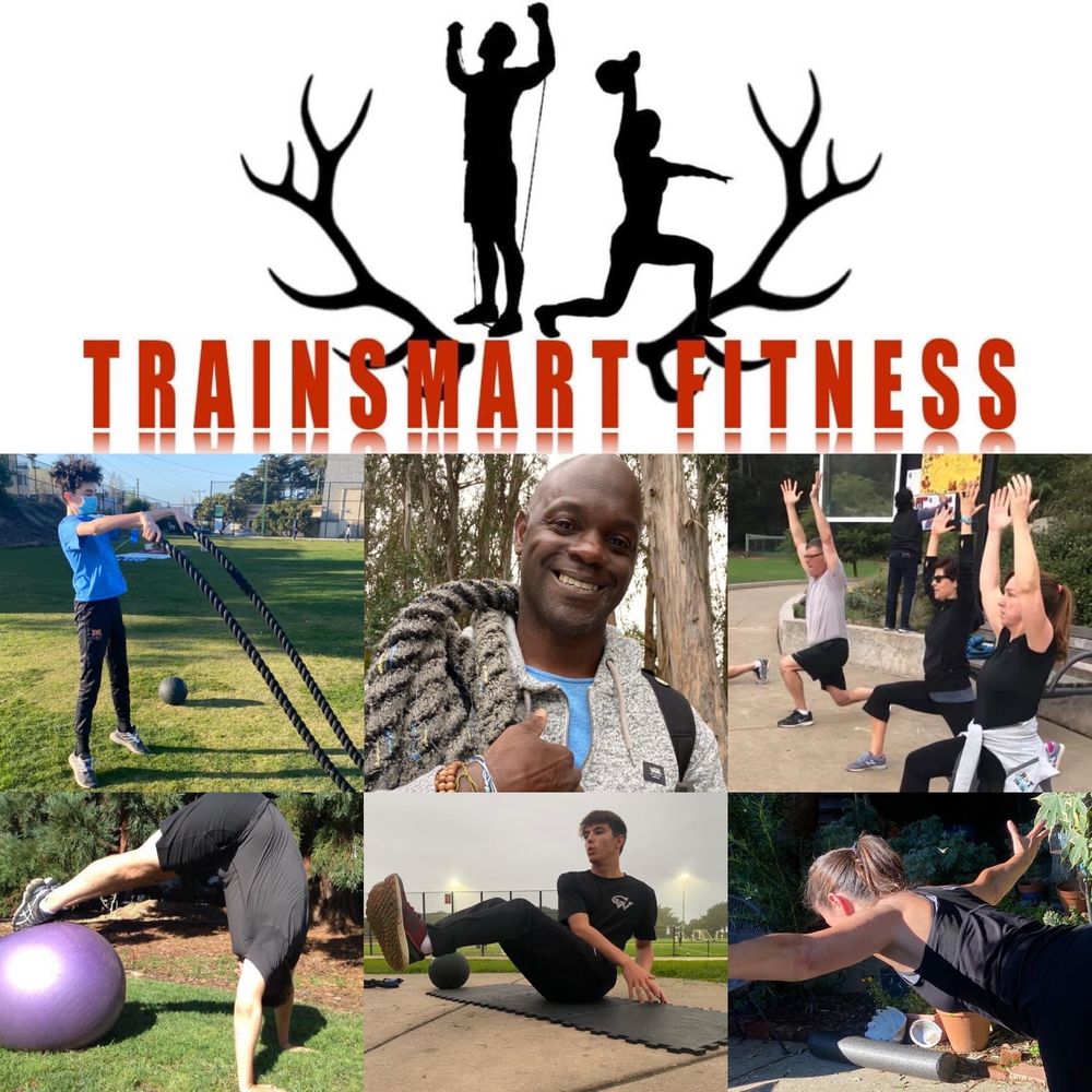 Trainsmart Fitness Systems Logo