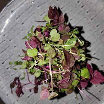 Anytime Kitchen - Korean Near Me - New York, New York Anytime Kitchen - Korean Near Me - New York, New York