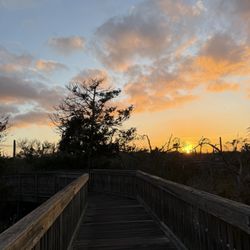 Castaway Island Preserve
