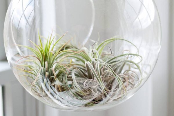 Epic Workshops by null