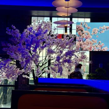 Bayridge Sushi - Sushi Bars Near Me - Kissimmee, Florida Bayridge Sushi - Sushi Bars Near Me - Kissimmee, Florida