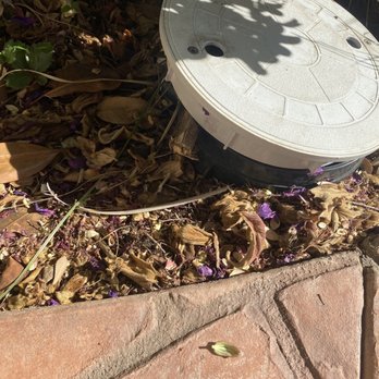 Blue Tatanka Pool Service - A stick has to hold it up to stop it from flooding - Pool Cleaners Near Me Blue Tatanka Pool Service - A stick has to hold it up to stop it from flooding - Pool Cleaners Near Me