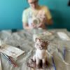 Cloth & Glaze Painting Studio gift card