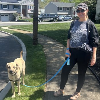 Dog Days NJ - Pet Services Near Me - Hazlet, New Jersey Dog Days NJ - Pet Services Near Me - Hazlet, New Jersey