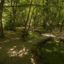 Camp Long