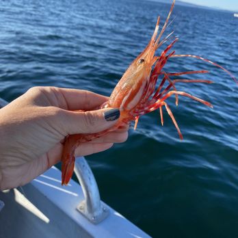 San Juan Adventures - Fishing Near Me San Juan Adventures - Fishing Near Me