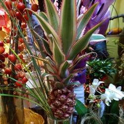 De Luca Dr. Pasquale Fiori e Piante - Fiore di ananas, adesso mio ;)