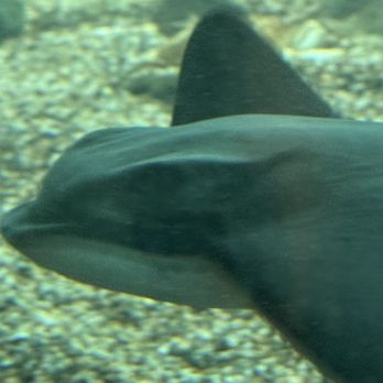 Ocean World - Aquariums Near Me - Crescent City, California