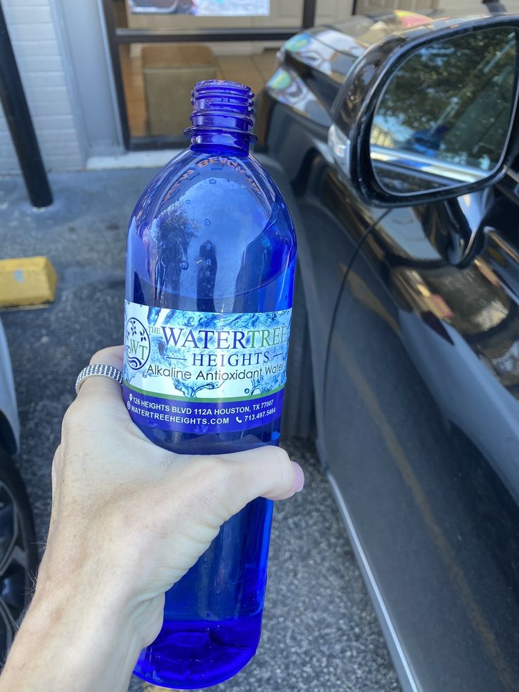 WATER TREE HEIGHTS 19 Photos & 12 Reviews 126 Heights Blvd, Houston