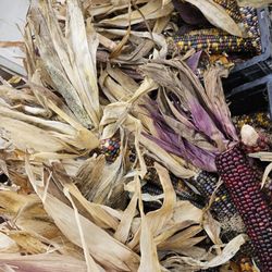 Cabalo's Orchard & Gardens - Corn