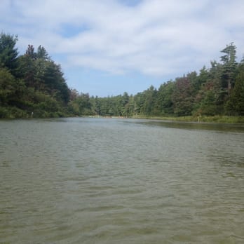 Platte River Campground - Campgrounds Near Me - Honor, Michigan