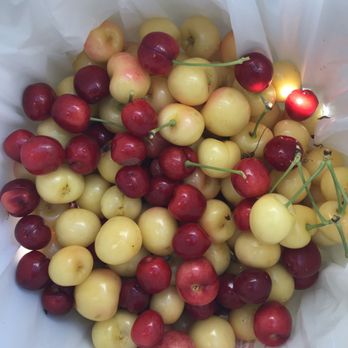 5 Star Cherries - Fruits & Veggies Near Me - Brentwood, California