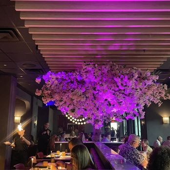 Blackbird Modern Asian - Inside - Chinese Near Me - Naples, Florida Blackbird Modern Asian - Inside - Chinese Near Me - Naples, Florida