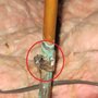 Photo of Able Home Inspections