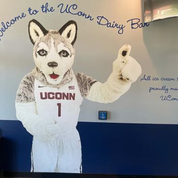 UConn Dairy Bar - Jonathan the Husky - Ice Cream & Frozen Yogurt Near Me - Storrs, Connecticut UConn Dairy Bar - Jonathan the Husky - Ice Cream & Frozen Yogurt Near Me - Storrs, Connecticut