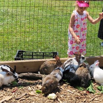 Willow Tree Farms - Farmers Market Near Me - Port Perry, Ontario Willow Tree Farms - Farmers Market Near Me - Port Perry, Ontario