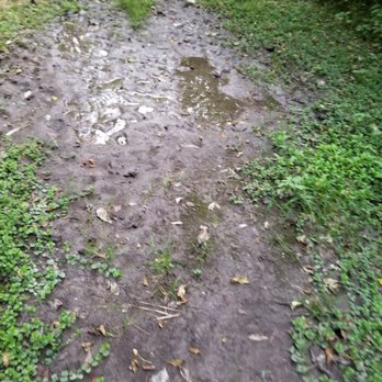 Garrison Glen - See what I mean about how wet it is here? - Parks Near Me - Mequon, Wisconsin
