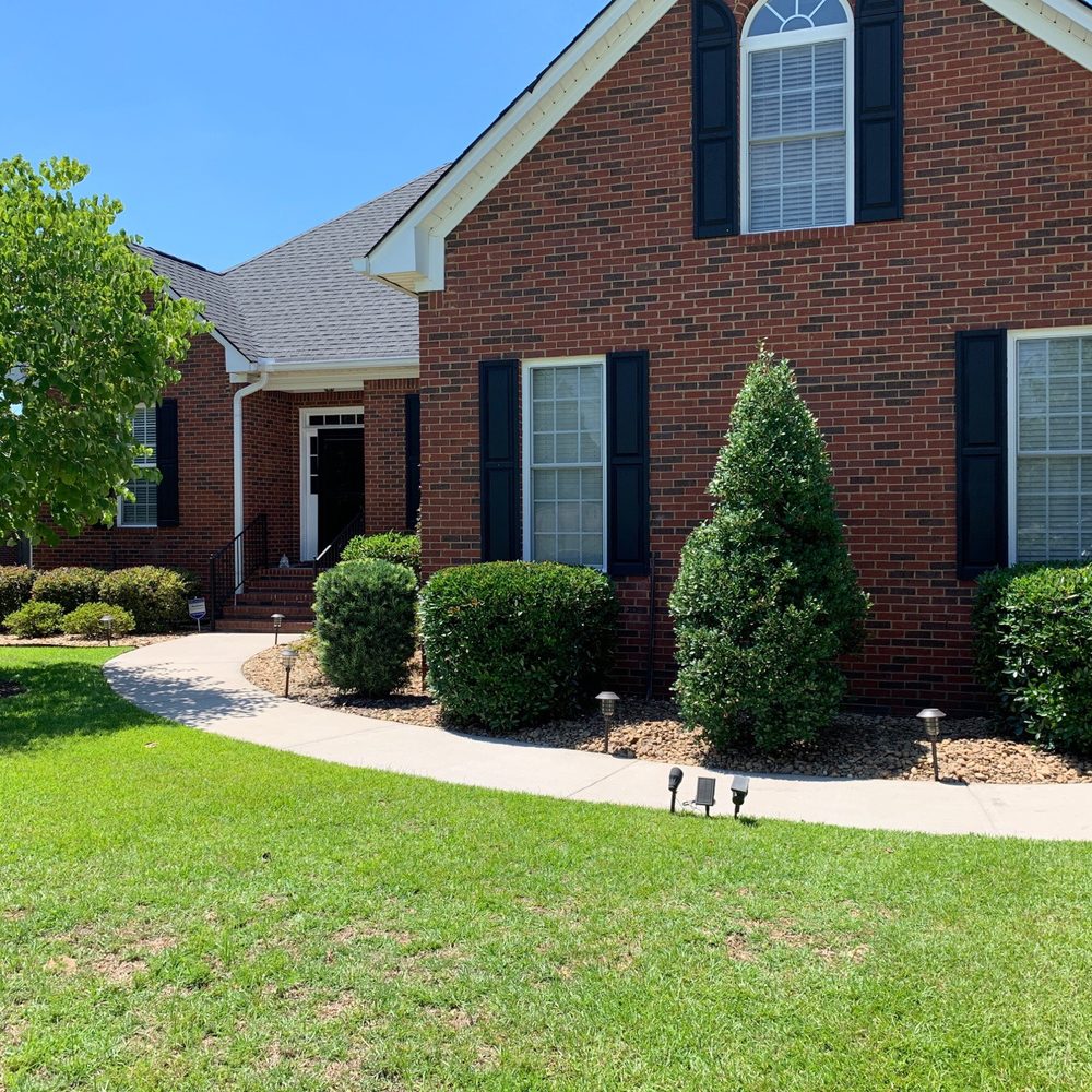 Buddy's Affordable Lawn Care - Removed two shrubs that were crowding tree from spreading - Landscaping Near Me - lugoff, South Carolina Buddy's Affordable Lawn Care - Removed two shrubs that were crowding tree from spreading - Landscaping Near Me - lugoff, South Carolina