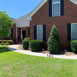 Buddy's Affordable Lawn Care - Removed two shrubs that were crowding tree from spreading