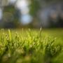 Photo of TLC Landscaping
